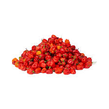 Frozen Rodo (Scotch bonnet)