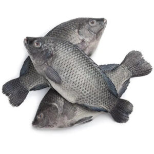 Frozen Tilapia Whole