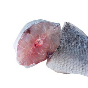 Frozen Barracuda Steak 1kg