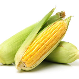 Fresh Corn (each)