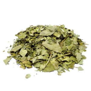 Curry Leaves